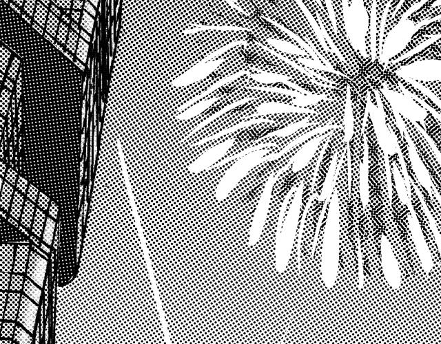 熬翔疾走114