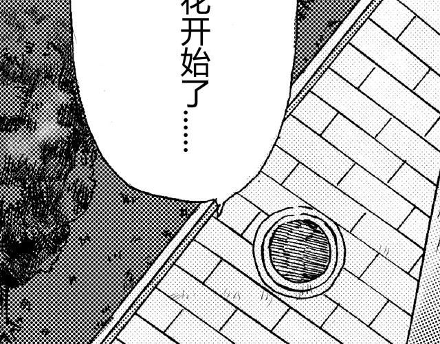 熬翔疾走116