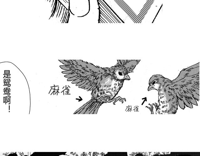 熬翔疾走141