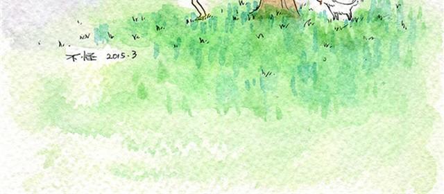 第1话 我和小白31
