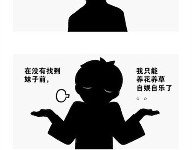 K卡洛米14