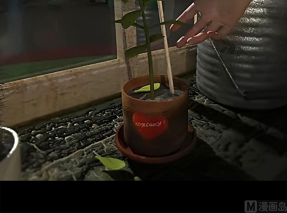 梦魇11