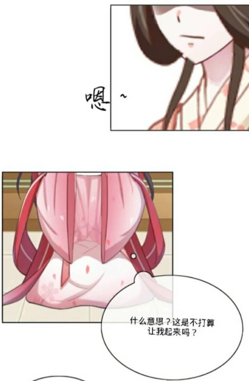 觐见母妃7