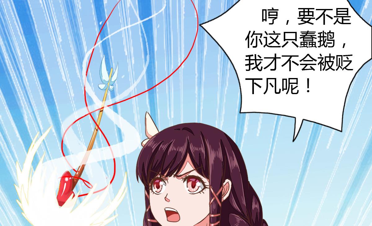 小红娘与丘比特 全一册60