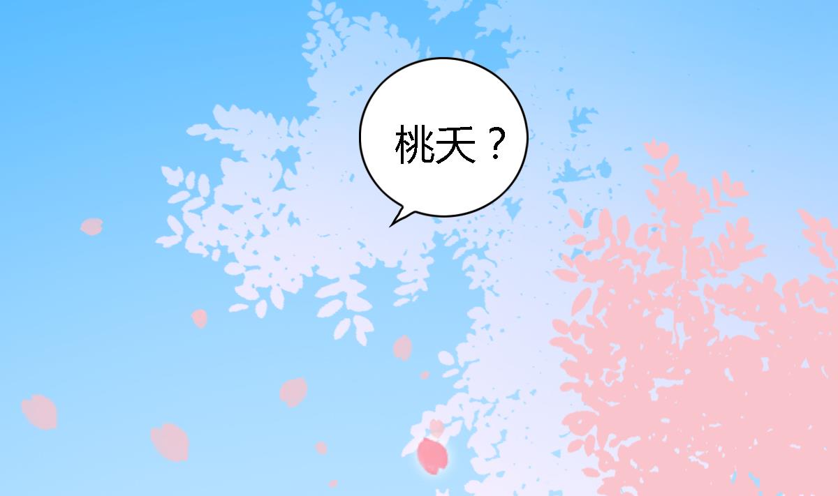 小红娘与丘比特 全一册240