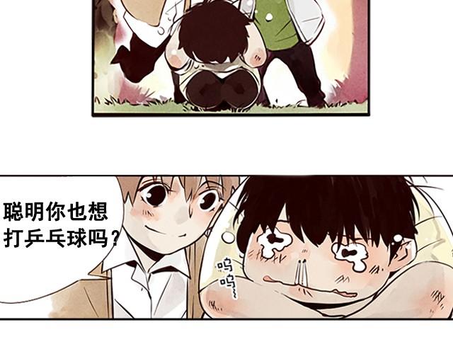 上篇 天才乒乓少年58