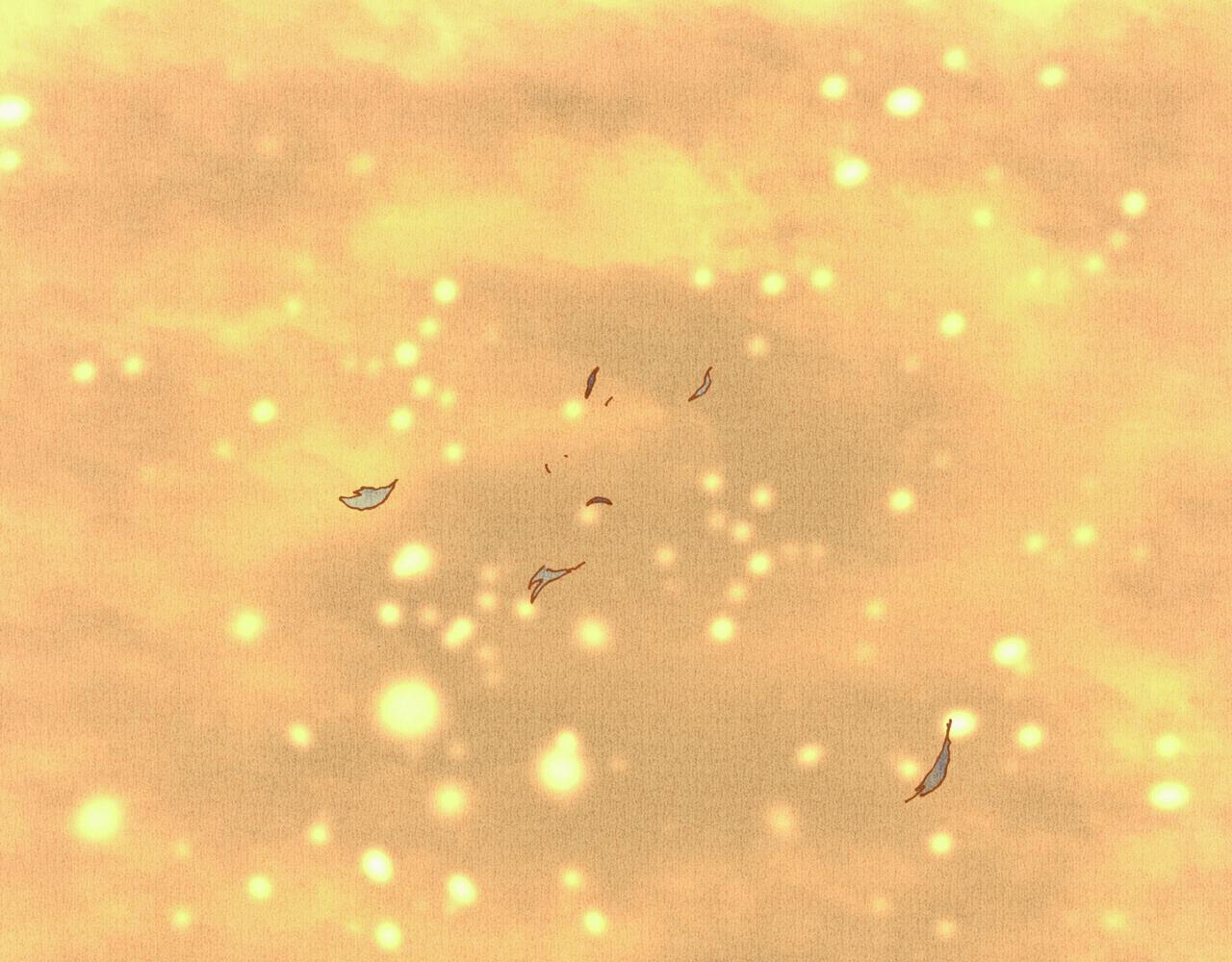 野风筝262