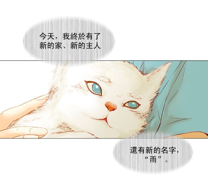 雨30