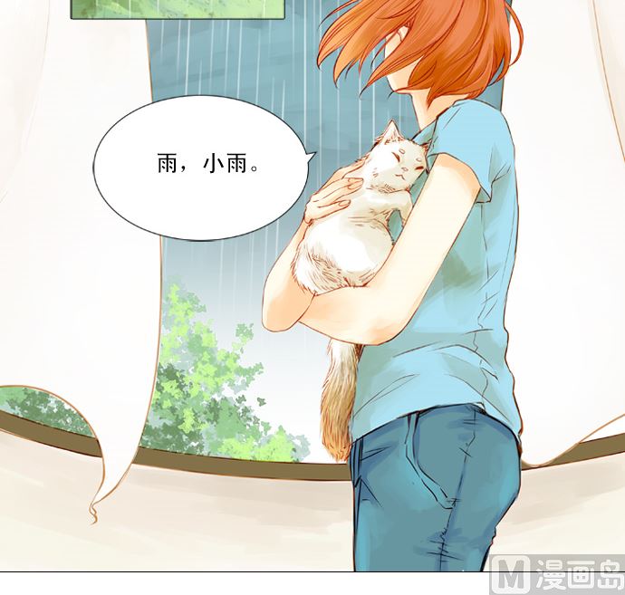 雨29