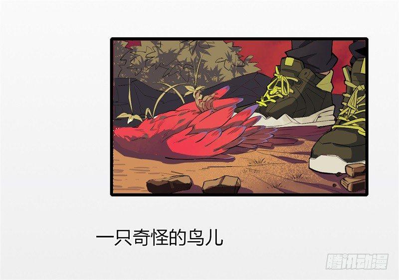 预告0