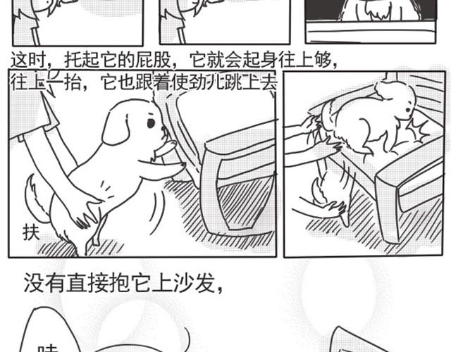 谢谢你来过这世界42