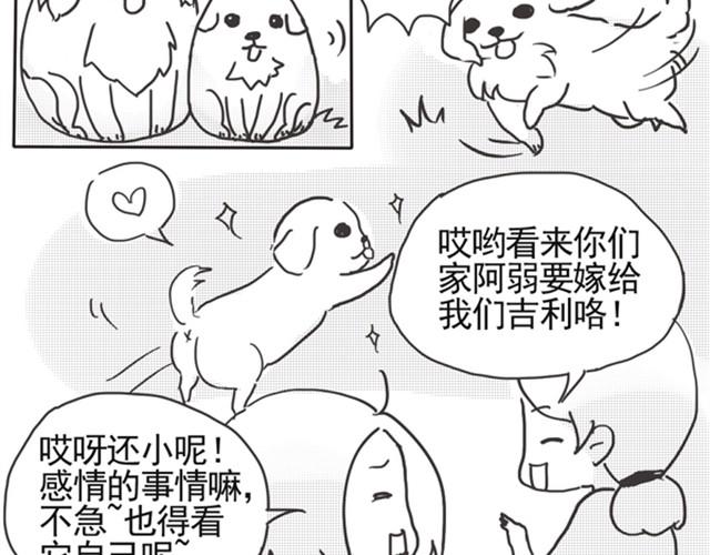 谢谢你来过这世界32