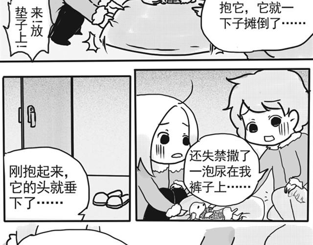 谢谢你来过这世界135