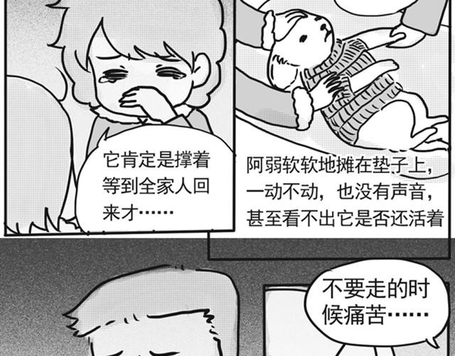 谢谢你来过这世界137