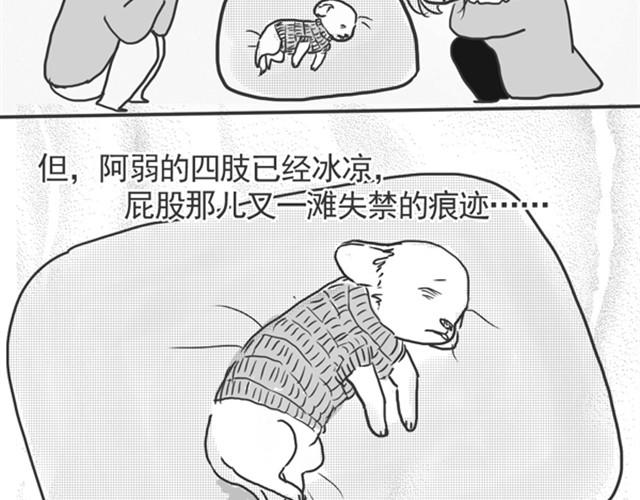 谢谢你来过这世界148