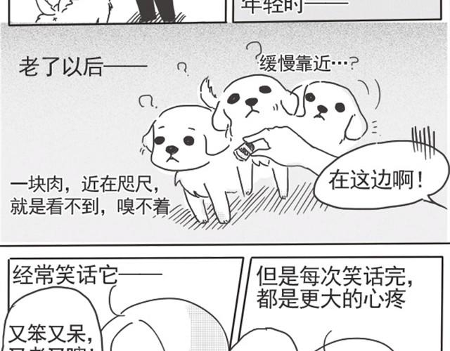 谢谢你来过这世界47