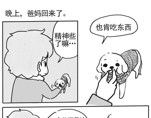 谢谢你来过这世界119