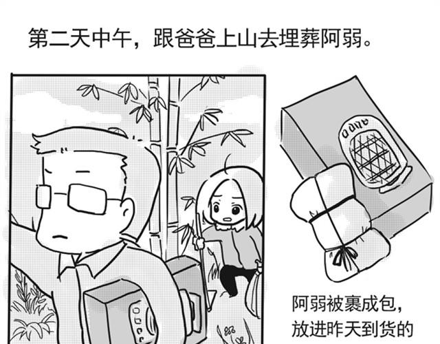 谢谢你来过这世界162