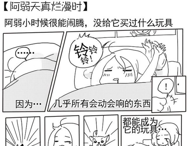 谢谢你来过这世界7
