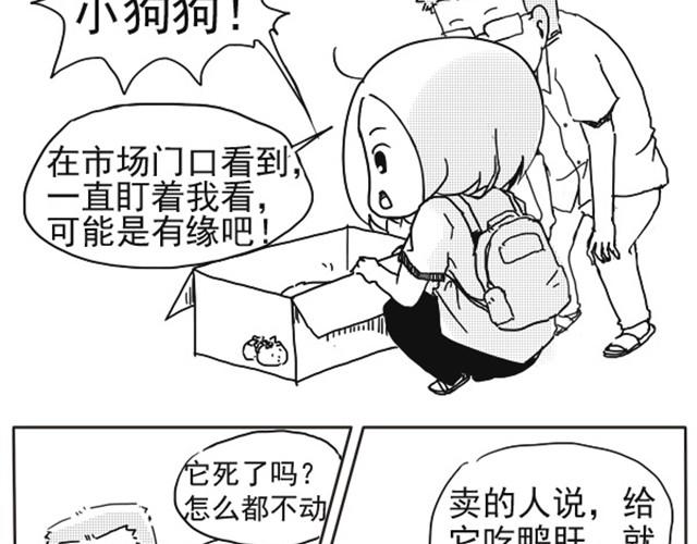 谢谢你来过这世界3