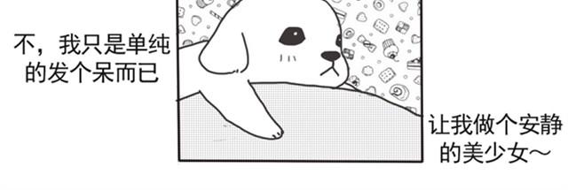 谢谢你来过这世界37