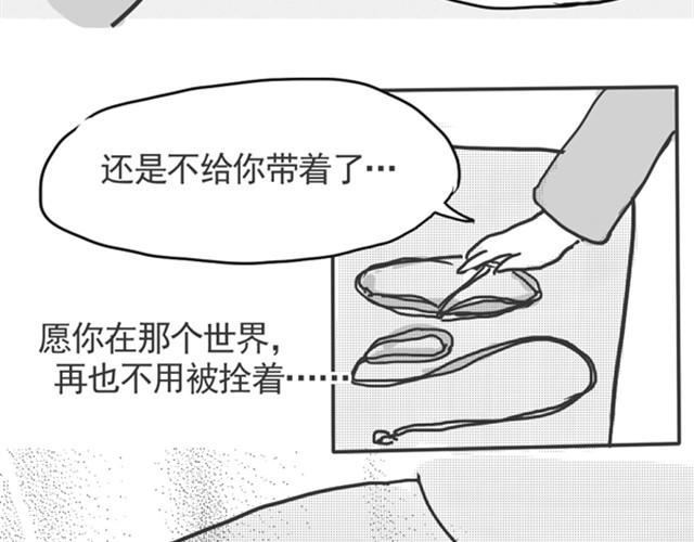 谢谢你来过这世界154