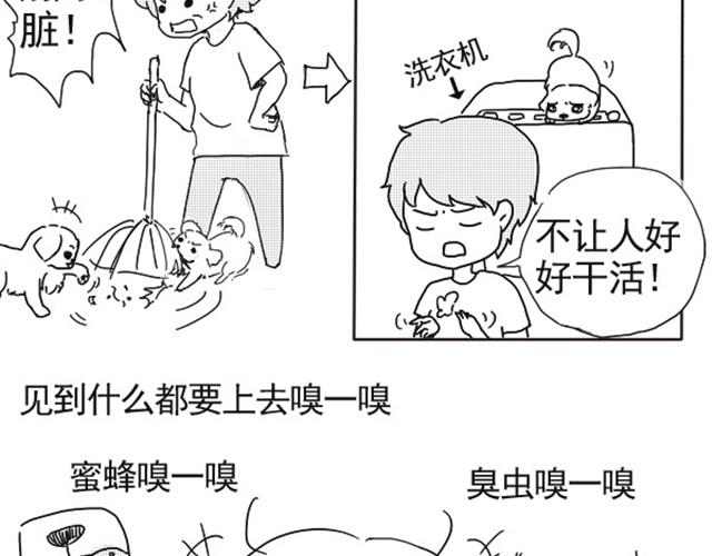 谢谢你来过这世界9