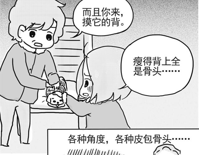 谢谢你来过这世界83