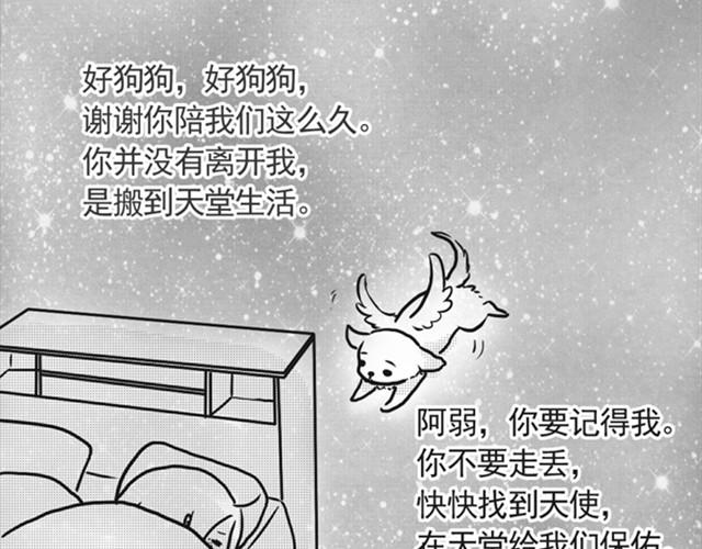 谢谢你来过这世界186