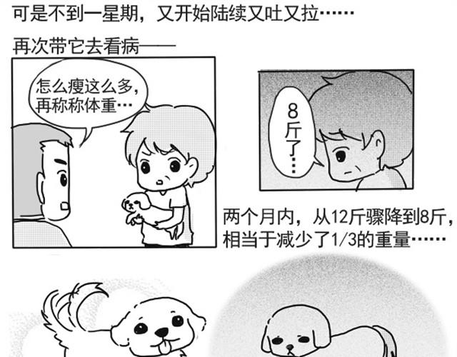 谢谢你来过这世界63