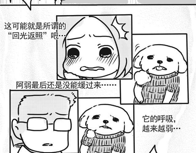 谢谢你来过这世界143