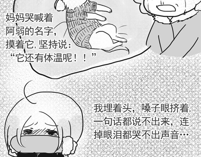 谢谢你来过这世界146