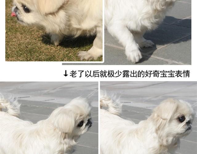 谢谢你来过这世界198