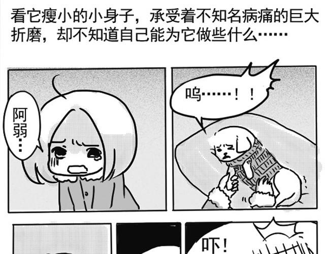 谢谢你来过这世界98