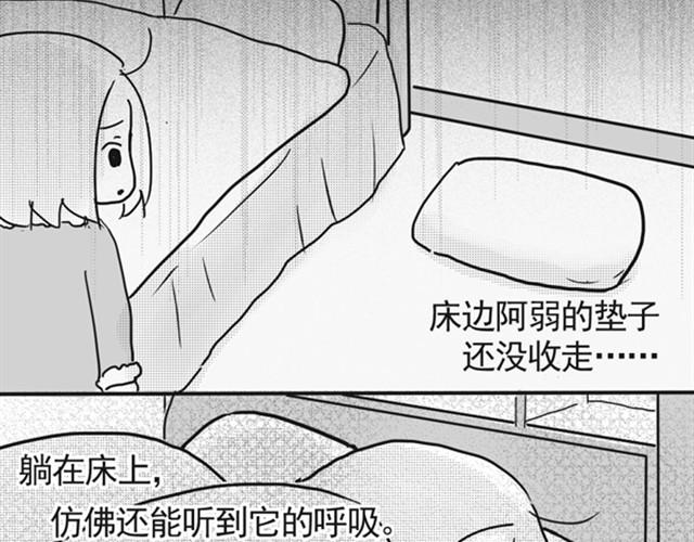 谢谢你来过这世界184