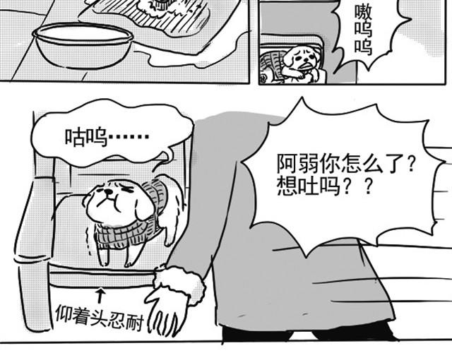 谢谢你来过这世界103