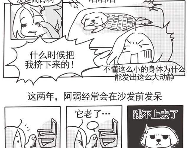 谢谢你来过这世界41