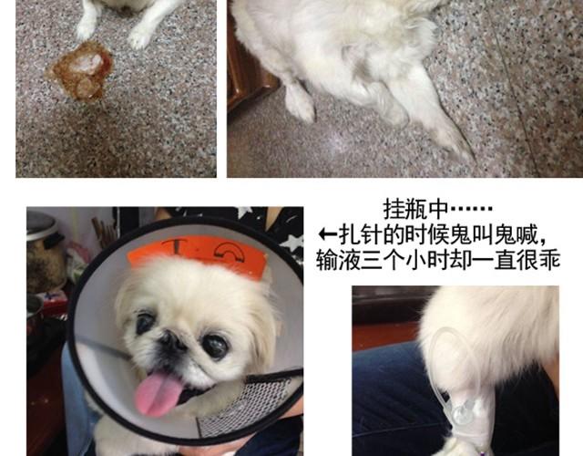 谢谢你来过这世界200