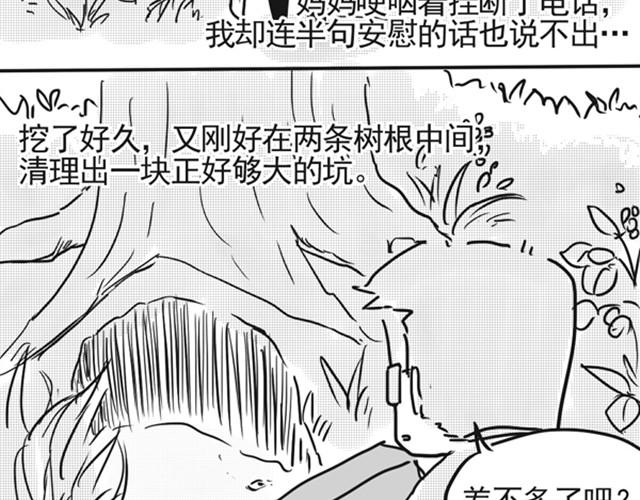 谢谢你来过这世界173