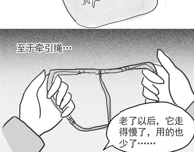 谢谢你来过这世界153