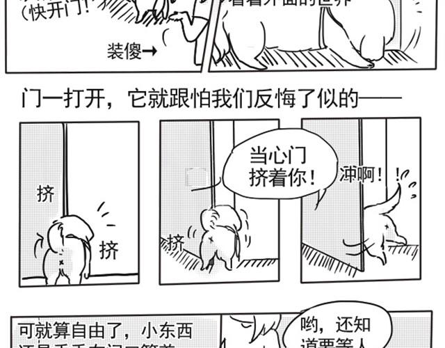 谢谢你来过这世界25