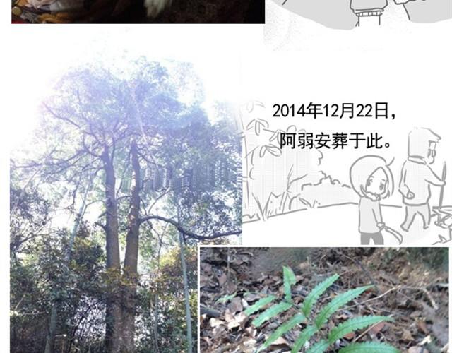 谢谢你来过这世界204