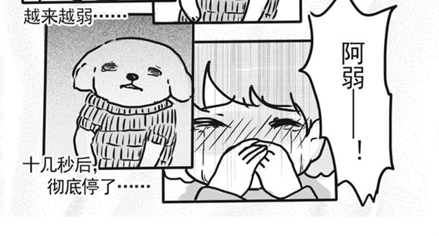 谢谢你来过这世界144