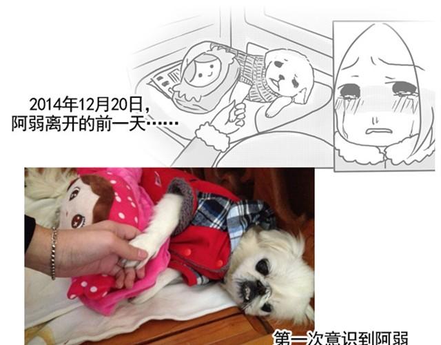 谢谢你来过这世界202