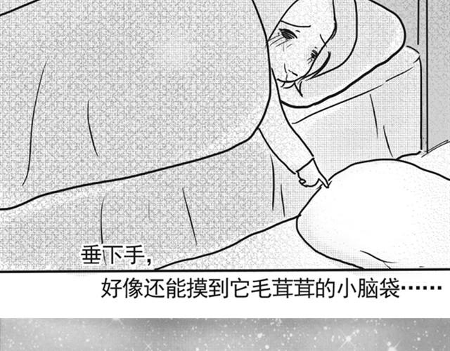谢谢你来过这世界185