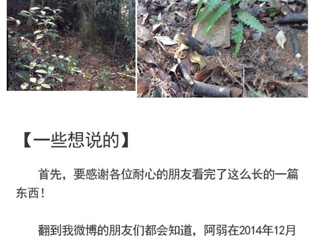 谢谢你来过这世界205