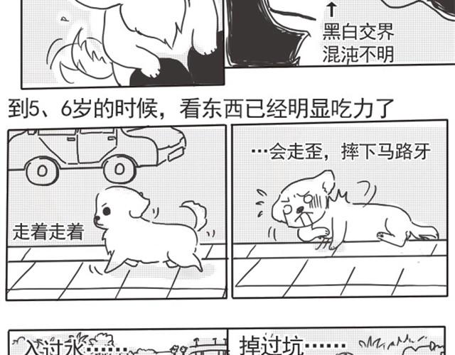 谢谢你来过这世界44
