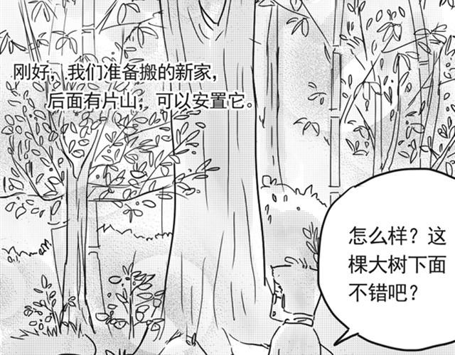 谢谢你来过这世界166