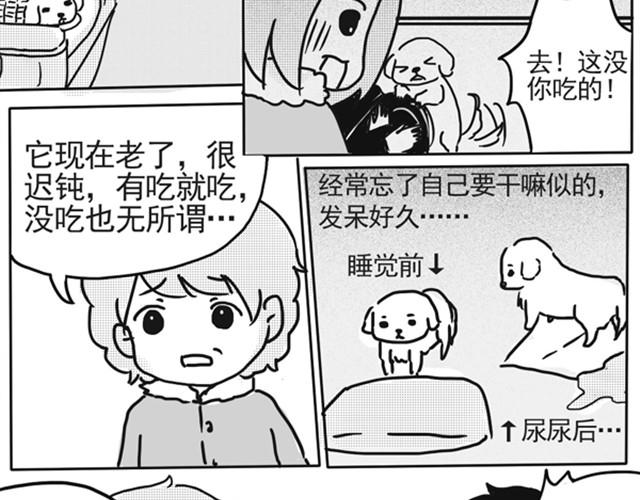 谢谢你来过这世界87