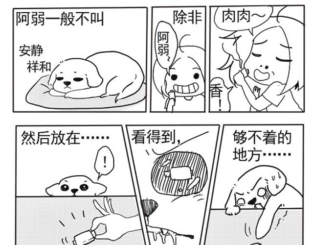 谢谢你来过这世界13